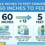 Infographic showing that how,nany inches are in 5 feet