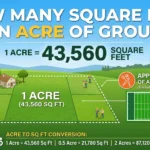 Infographic showing that How Many Square Feet in an Acre of Ground