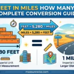 Inographic is showing that Feet in Miles How Many? Complete