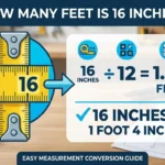 Infographic is showing thatHow Many Feet Is 16 Inches?