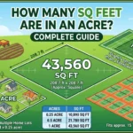 Infographic is showing that How Many Sq Feet Are in an Acre?