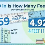 Infographic is showing that. 59 in Is How Many Feet?