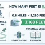 How Many Feet Is .6 Miles?