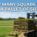 How Many Square Feet Is a Pallet of Sod?