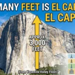 infographic is showing that How Many Feet Is El Capitan? Height, Facts & Comparisons