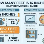 Incographic is showing How Many Feet Is 14 Inches? Easy Conversion Guide