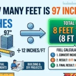 How Many Feet is 97 Inches? Complete Conversion Guide