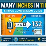 Infographic is showing that How Many Inches in 11 Feet? Simple Conversion Guide