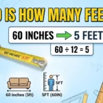 Infographic is showing that 60 Is How Many Feet? Convert 60 Inches to Feet