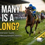 Infographic is showing that How Many Feet Is a Furlong? Easy Conversion Guide