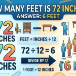 Infographic is showing that How Many Feet Is 72 Inches? Easy Conversion Guide
