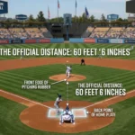 Infographic is showing that How Many Square Feet in a Box of Laminate Flooring?