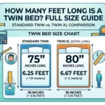 Infographic is showing that How Many Feet Long Is a Twin Bed? Full Size Guide