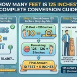 Infographic is showing that How Many Feet Is 125 Inches? Easy Conversion Guide