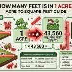 infographic is showing that How Many Feet Is in 1 Acre? Acre to Square Feet Guide